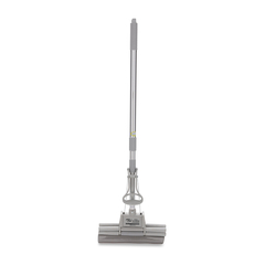 Cây lau nhà Trần Thức mút xám